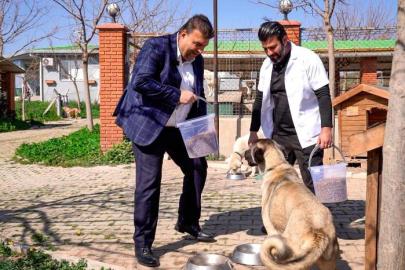 Seferihisar’da sıfır atıkla mama üretimi başladı  Başkan Yetişkin: “Artık çöpe giden yemekler can dostlarımız için mamaya dönüşüyor”