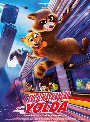 Evcil Hayvanlar Yolda