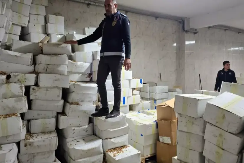 11 ton kurtlanmış ceviz ele geçirildi