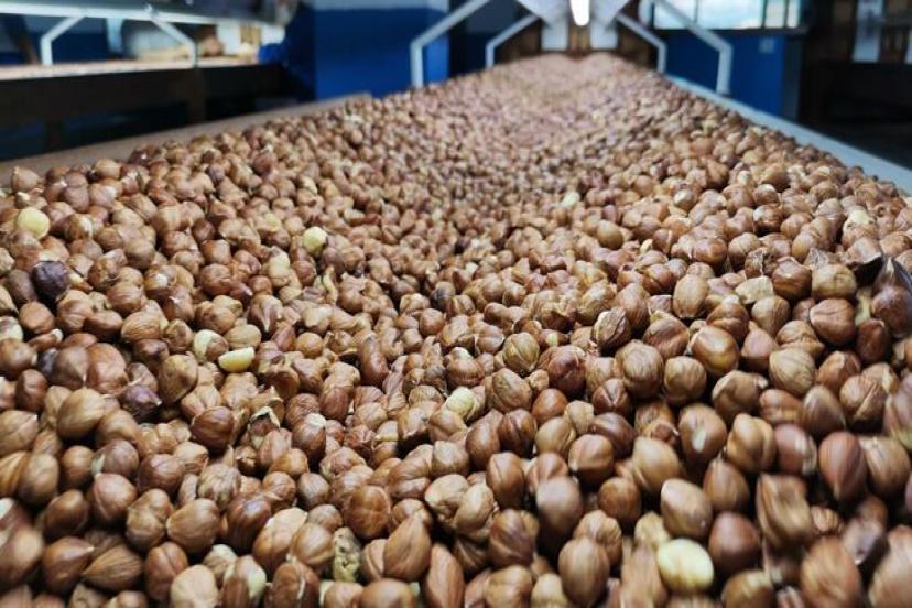 122 ülkeye, 344 bin ton fındık ihraç edildi