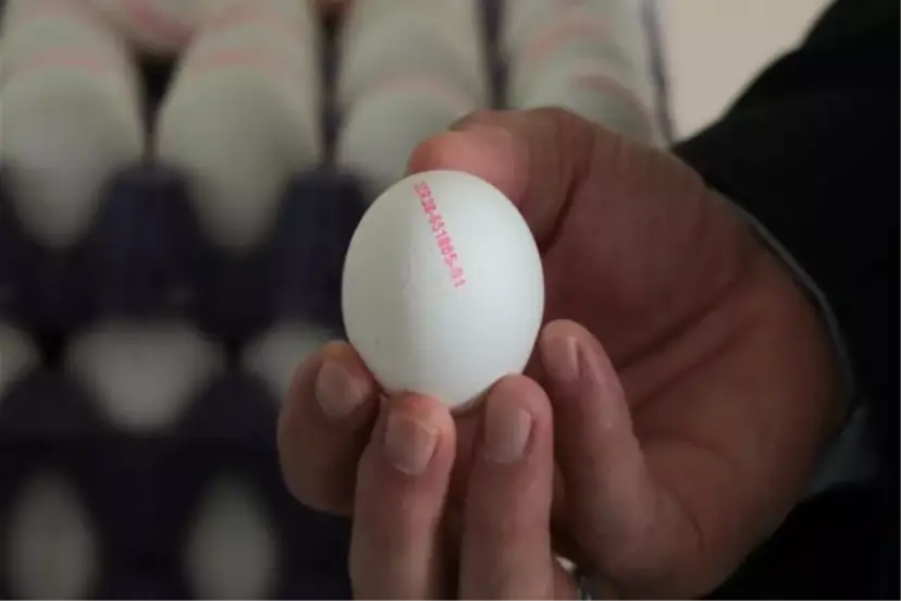 2, 3 ve 4 numaralı yumurtalar ilaçlı mı? Tedirginlik yaratan iddiaya bakanlıktan yanıt