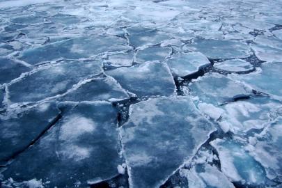 Arktik Bölgesi'nde “imkansız” sanılan bakteriler keşfedildi: Küresel ölçekte etkileri olabilir