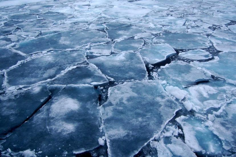 Arktik Bölgesi'nde “imkansız” sanılan bakteriler keşfedildi: Küresel ölçekte etkileri olabilir