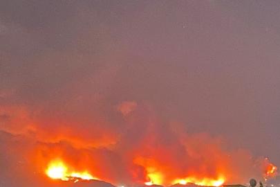 Bursa'da büyük orman yangını: Kül olan alanlar, yaralılar ve yaban hayatı katliamı