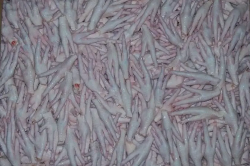 Kanatlı sektörü, Çin’e tavuk ayağı iznini bekliyor