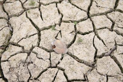 Türkiye'de kuraklık 10 yıllık ortalamanın yüzde 10 üzerinde