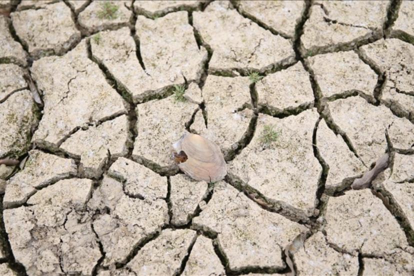 Türkiye'de kuraklık 10 yıllık ortalamanın yüzde 10 üzerinde