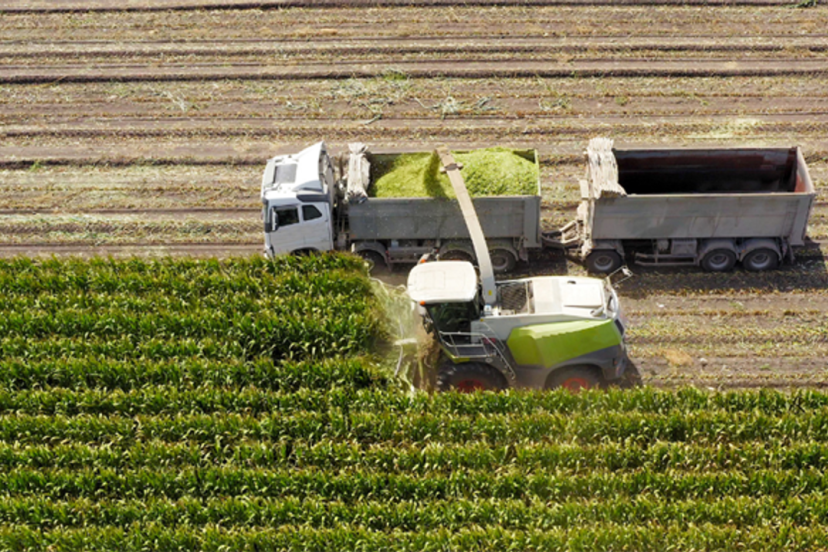 306 milyon liralık tarımsal destekleme ödemesi gerçekleşt