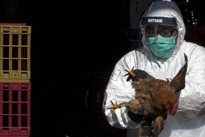 ABD’de H5N5 kuş gribi nedeniyle ilk insan ölümü