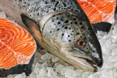 Artvin’den 67 ülkeye Türk somonu ihracatı