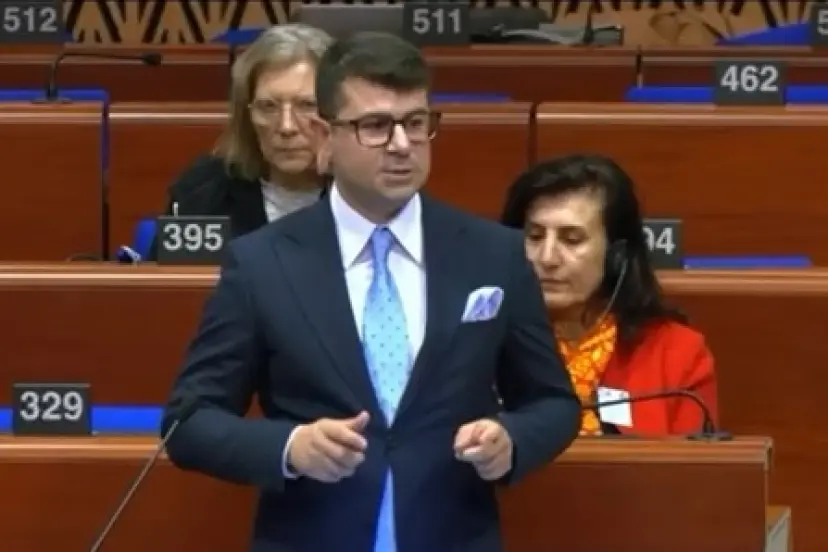 CHP'li Baran Güneş’ten Strazburg’da demokrasi vurgusu
