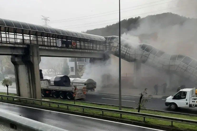 Düzce’de seyir halindeki tırın dorsesinde yangın çıktı