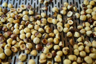 Düzce'den AB ülkelerine 15 bin 750 ton iç fındık ihraç edildi