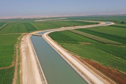 GAP'ta sulama yatırımları 2028'de tamamlanacak