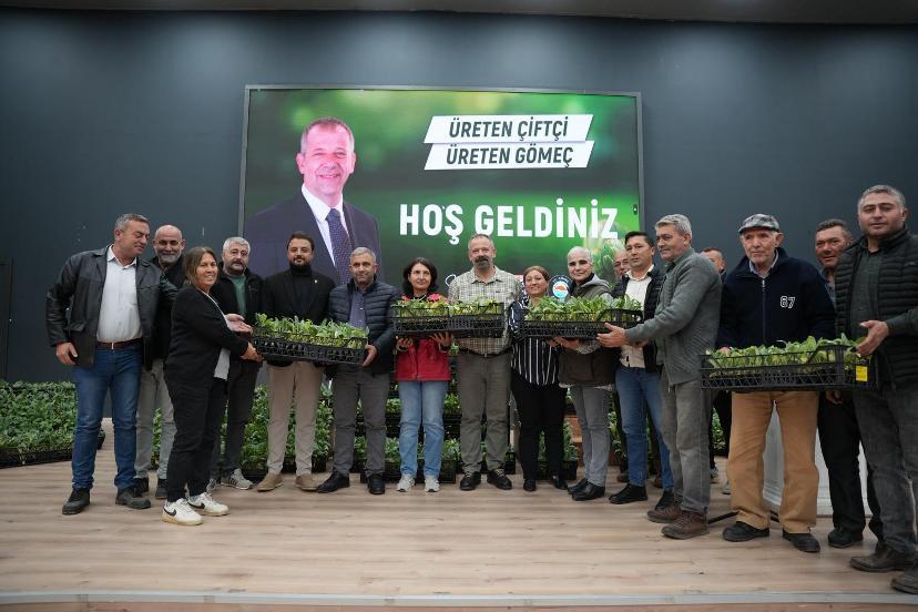 Gömeç Belediyesi’nden 50 Bin Enginar Fidanı Desteği
