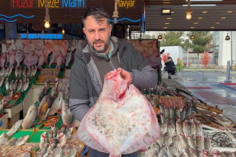 İstanbul'da kalkanın kilosu 1.200 liradan satılıyor