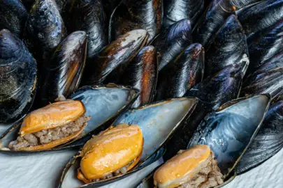 İstanbul’da midye şüphesi: Can kaybı 3’e yükseldi, 4 gözaltı