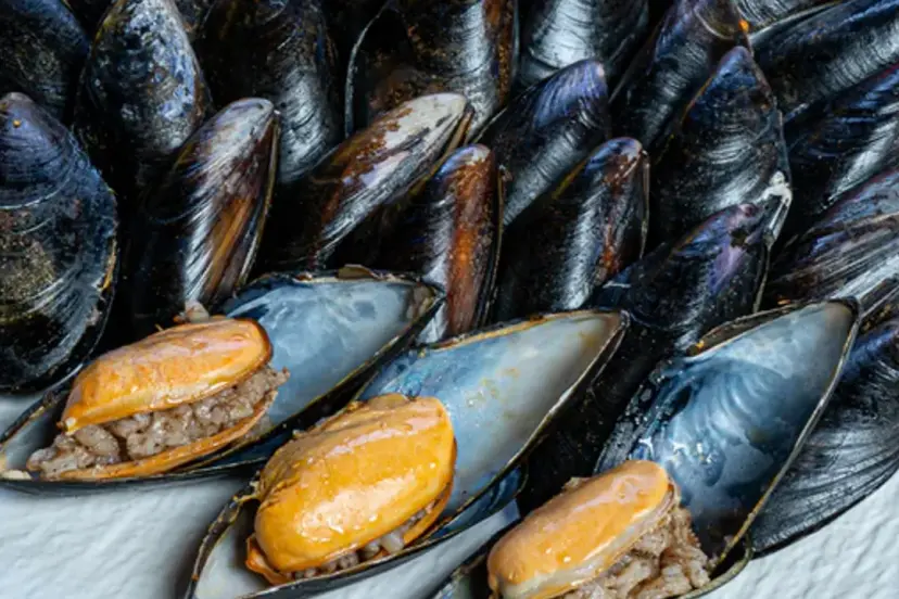 İstanbul’da midye şüphesi: Can kaybı 3’e yükseldi, 4 gözaltı