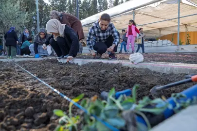 İzmir bostanlarında kış dikimi başladı