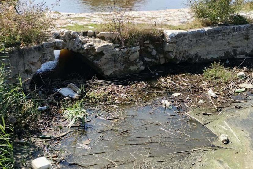 Koçak Çayı'ndaki atıklar Ege Denizi ve Bafa Gölü’nü tehdit ediyor