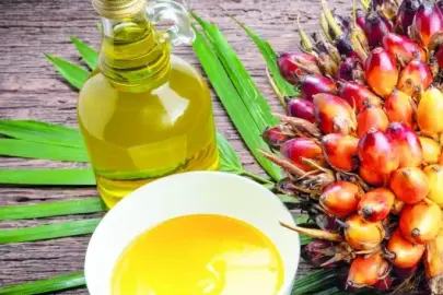 Palm yağı ile ikili ticareti artırmak istiyor