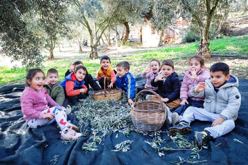 Seferihisar Belediyesi’nden örnek proje; Çocukların topladığı zeytinler sofralara bereket olacak