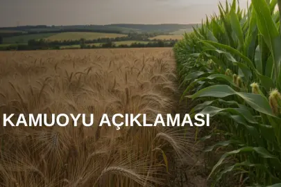 TMO’dan arpa ve mısır kontenjanlarıyla ilgili açıklama