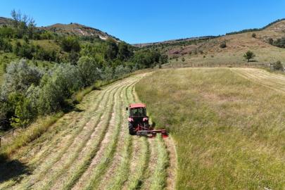 Türkiye, 7 tarımsal üründe dünya birinciliğini elinde tutuyor