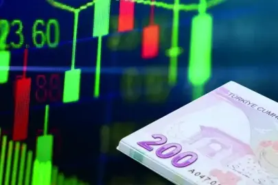 Yatırımcı TL'de ısrarcı