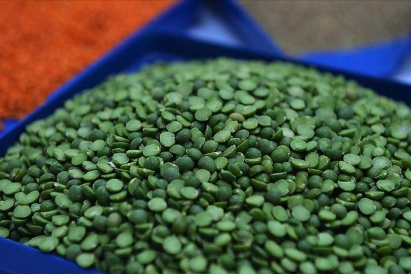 Yeşil mercimek ve yulaf ithalatında gümrük vergileri indirildi