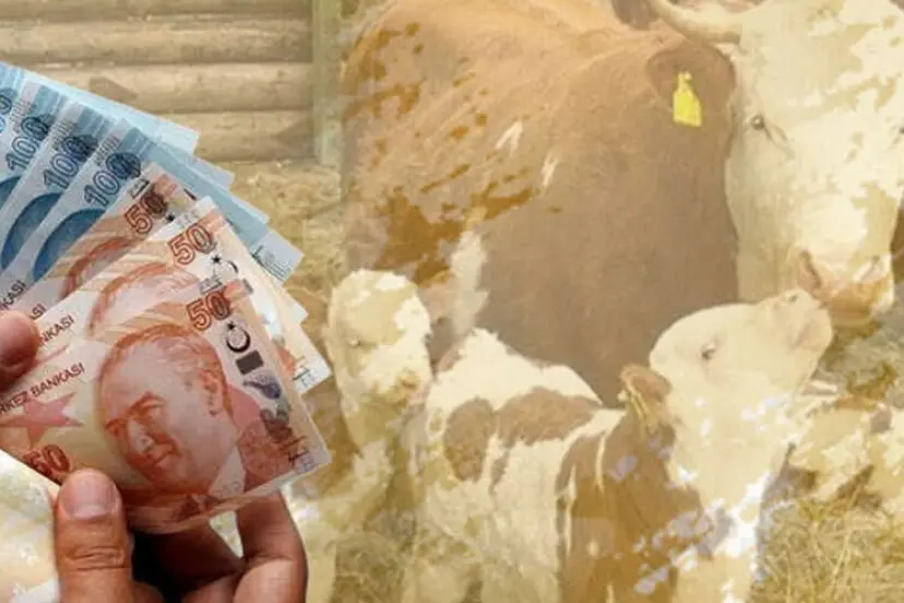 1,46 milyar TL tarımsal destek hesaplarda