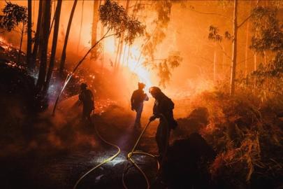 AB ormanları 2025'teki yangınlarda en büyük kaybı yaşadı