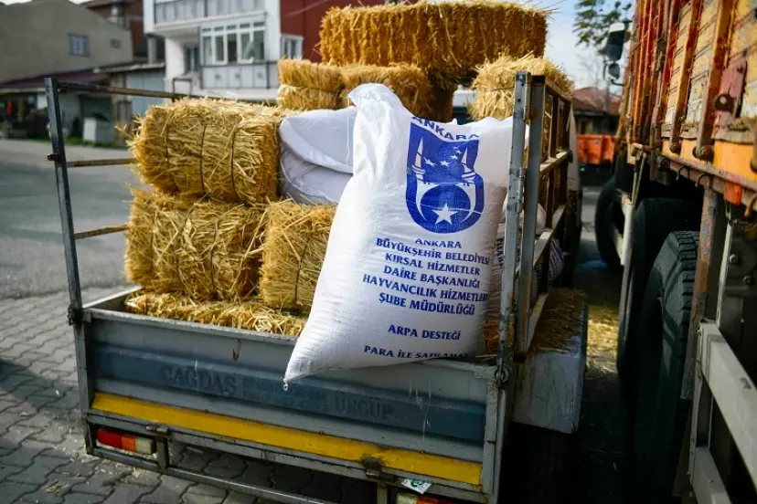 ABB'nin kırsal kalkınma destekleri sürüyor