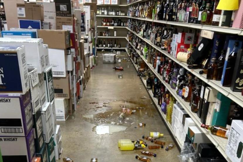 ABD'de içki dükkanına giren rakun sarhoş olup sızdı