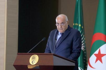 Afrikalı liderler Avrupalı sömürgecilerden tazminat talep ediyor