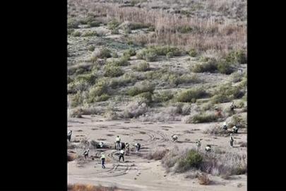 Ağyatan Lagünü'ne 100 bin yeni ağaç: Ekosistem koruma çalışmaları