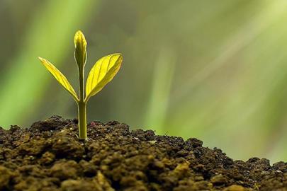 Bakanlık, yerel yönetimlere 96 milyar liralık çevre desteği sağladı
