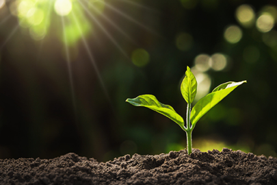 Bitki koruma ürünlerinde satış ve kullanım elektronik takibe alınıyor