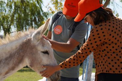 Borusan, gönüllülük faaliyetleriyle toplumsal faydayı önceliyor