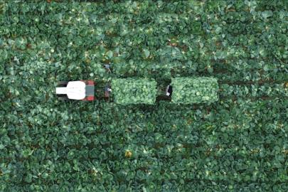 Çiftçi Kayıt Sistemi'ne başvurmak için son tarih 31 Aralık