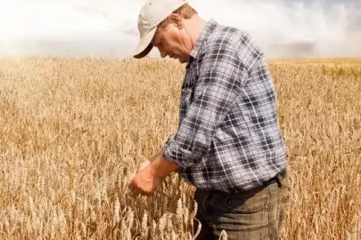 Çiftçi Kayıt Sistemi'ne kayıtlarda son 3 gün