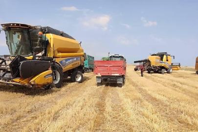 Çiftçilere 1,1 milyar liralık destek ödemesi bugün yapılacak