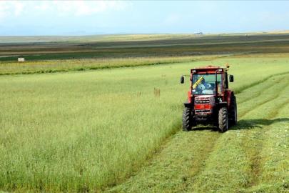 Çiftçilere 1,1 milyar liralık destekleme ödemesi bugün yapılacak