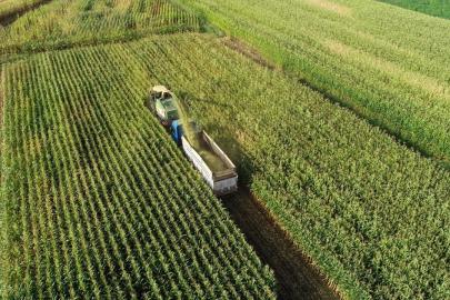 Çiftçilere 1,1 milyar liralık tarımsal destekleme ödemesi bugün yapılacak