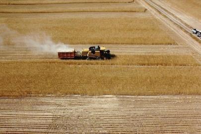 Çiftçilere 2 milyar lira tarımsal destekleme ödemesi bugün yapılacak