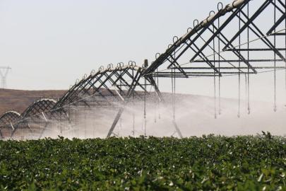 DAP Bölge Kalınma İdaresi 12 yılda 2 bin 86 projeye destek verdi