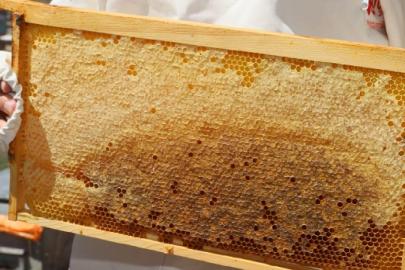 Doğu Karadenizden 11 ayda 452 ton bal ihracatı