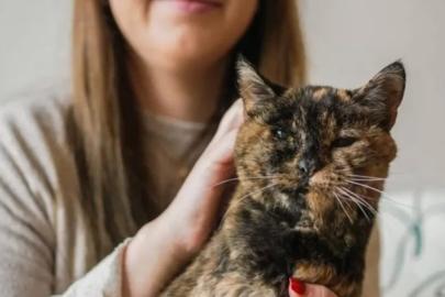 Dünyanın bilinen en yaşlı kedisi Flossie, 30 yaşına girdi