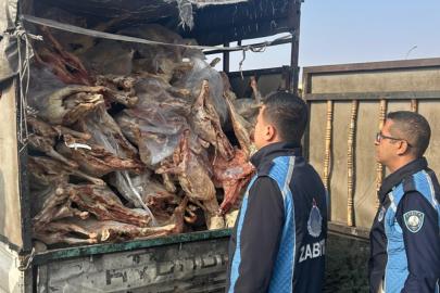 Gaziantep'te 1,9 ton bozulmuş et imha edildi