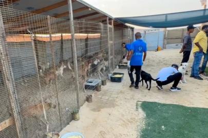 Gazze'nin tek hayvan barınağının çalışanları yemeklerini hayvanlarla paylaştı